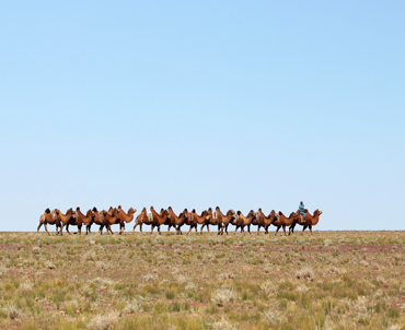 LOOPING THE GOBI DESERT