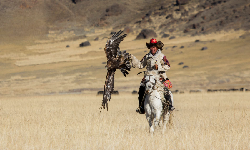 Eagle hunter