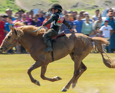 THE NAADAM BY NOMADS